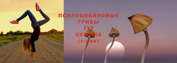 трава Арсеньев