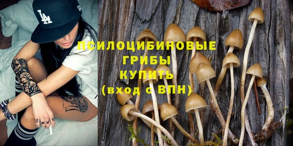 дживик Армянск