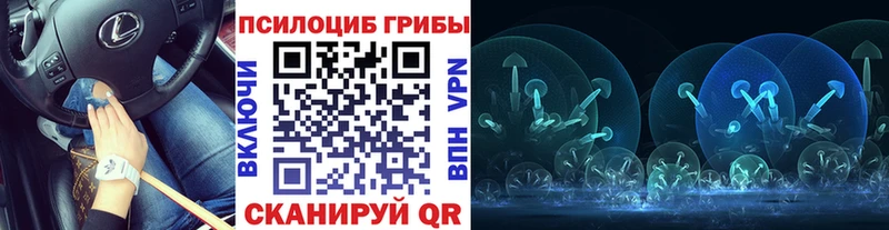 Купить закладки  Лабинск  Псилоцибиновые грибы GOLDEN TEACHER 
